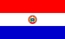 Bandiera nazionale, Paraguay