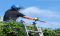 Nottingham Tree Surgeons